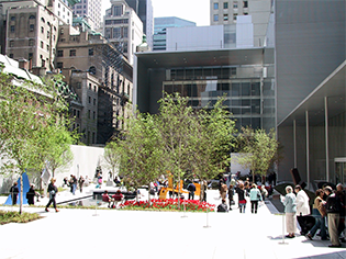 THE MUSEUM OF MODERN ART (MOMA)